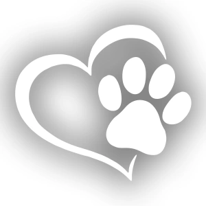 Kalpli Pati Sticker  17x17 Cm Beyaz