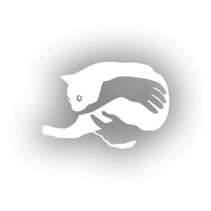 Kedi Seven El sticker 17x17 Cm Beyaz