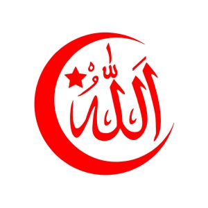 Türk Bayrağı ve Allah Sticker 17x17 Cm Kırmızı