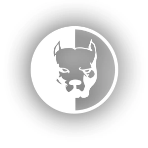 Pitbull Araba Stickeri 17x17 Cm Beyaz