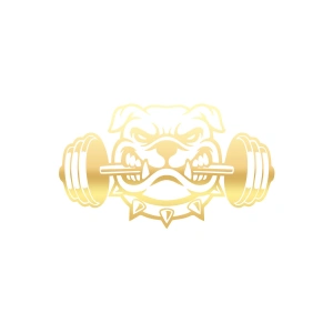 Bulldog Araba Sticker 17x17 Cm Gold