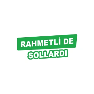 Rametli de Sollardı Araba Sticker 17x17 Cm Yeşil