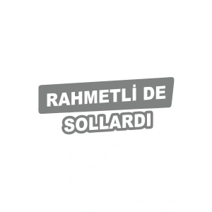 Rametli de Sollardı Araba Sticker 17x17 Cm Gri