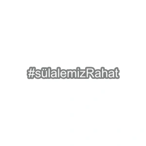 Sülalemiz Rahat Araba Sticker 17x17 Cm Gri
