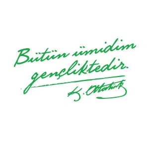 Bütün Ümidim Gençliktedir Araba Sticker 17x17 Cm Yeşil