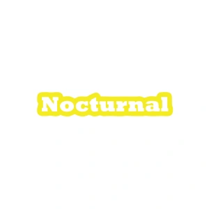 Nocturnal Araba Sticker 17x17 Cm Sarı
