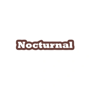Nocturnal Araba Sticker 17x17 Cm Kahverengi