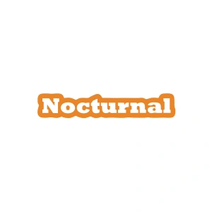 Nocturnal Araba Sticker 17x17 Cm Turuncu