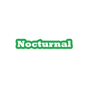 Nocturnal Araba Sticker 17x17 Cm Yeşil