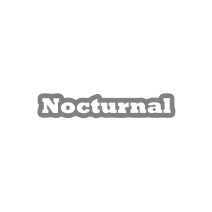Nocturnal Araba Sticker 17x17 Cm Gri