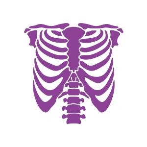 İskelet Araba Sticker 17x17 Cm Mor