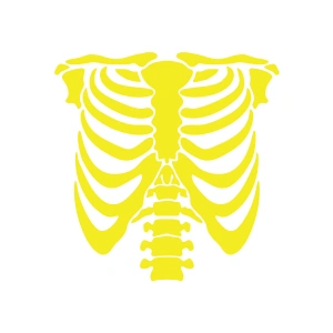 İskelet Araba Sticker 17x17 Cm Sarı