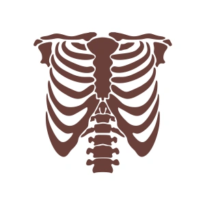 İskelet Araba Sticker 17x17 Cm Kahverengi