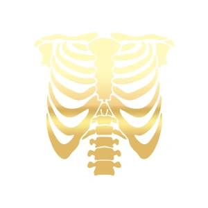 İskelet Araba Sticker 17x17 Cm Gold