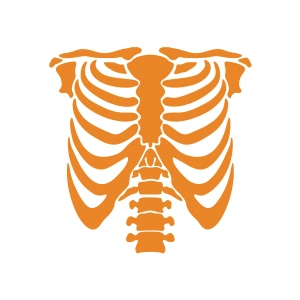 İskelet Araba Sticker 17x17 Cm Turuncu