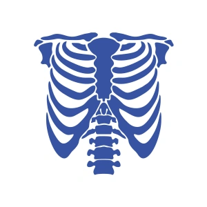 İskelet Araba Sticker 17x17 Cm Mavi