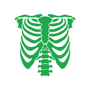 İskelet Araba Sticker 17x17 Cm Yeşil