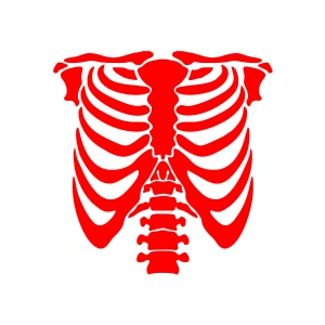 İskelet Araba Sticker 17x17 Cm Kırmızı