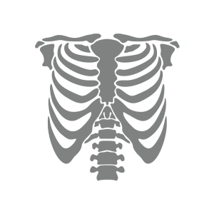 İskelet Araba Sticker 17x17 Cm Gri