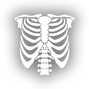 İskelet Araba Sticker 17x17 Cm Beyaz