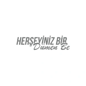Her Şeyiniz Dümen be Araba Sticker 17x17 Cm Gri