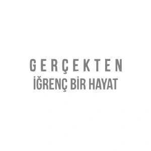 Gerçekten İğrenç Bir Hayat Araba Sticker 17x17 Cm Gri