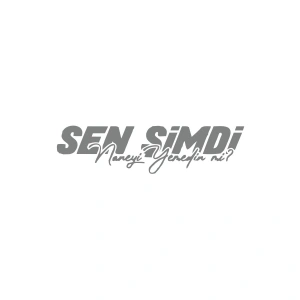 Sen Şimdi Naneyi Yemedin mi? Araba Sticker 17x17 Cm Gri