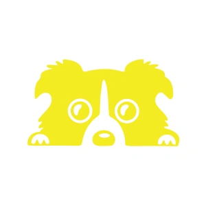 Köpek Araba Sticker 17x17 Cm Sarı