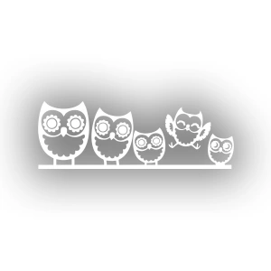 Baykuşlar Araba Stickeri 17x17 Cm Beyaz