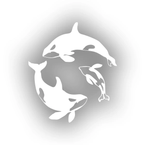 Balinalar Araba Sticker 17x17 Cm Beyaz