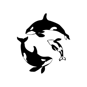 Balinalar Araba Sticker 17x17 Cm Siyah