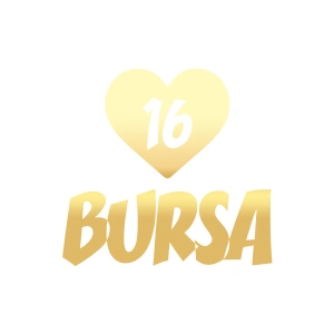 Kalpli 16 Bursa Araba Sticker 17x17 Cm Gold