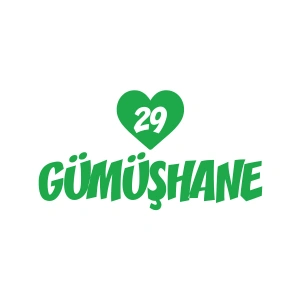 Kalpli 29 Gümüşhane Araba Sticker 17x17 Cm Yeşil