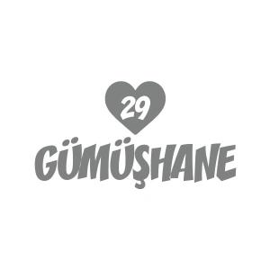 Kalpli 29 Gümüşhane Araba Sticker 17x17 Cm Gri