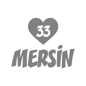 Kalpli 33 Mersin Araba Sticker 17x17 Cm Gri