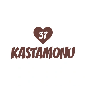 Kalpli 37 Kastamonu Araba Sticker 17x17 Cm Kahverengi