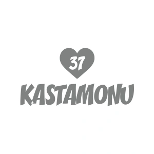Kalpli 37 Kastamonu Araba Sticker 17x17 Cm Gri