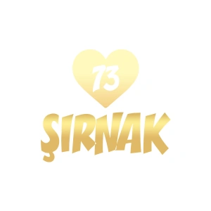 Kalpli 73 Şırnak Araba Sticker 17x17 Cm Gold