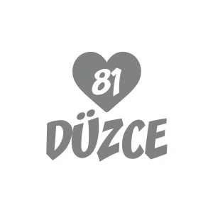 Kalpli 81 Düzce Araba Sticker 17x17 Cm Gri