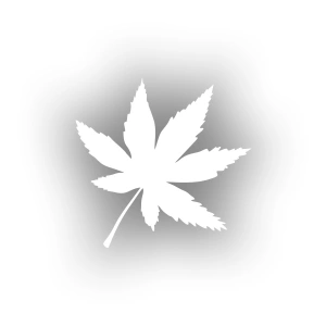 6 Yapraklı Yaprak Araba Sticker 17x17 Cm Beyaz