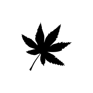 6 Yapraklı Yaprak Araba Sticker 17x17 Cm Siyah