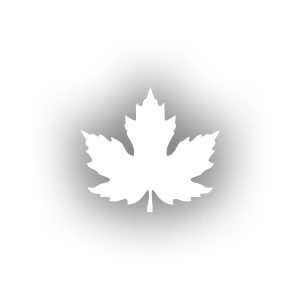 Çınar  Yaprağı Araba Sticker 17x17 Cm Beyaz