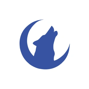 Hilal ve Bozkurt Araba Sticker 17x17 Cm Mavi