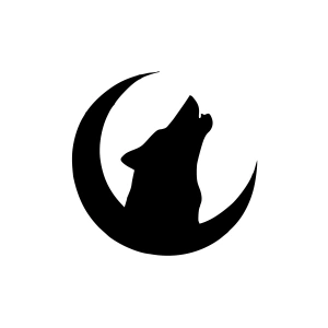 Hilal ve Bozkurt Araba Sticker 17x17 Cm Siyah