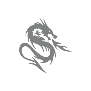 Kızgın Ejderha Araba Sticker 17x17 Cm Gri