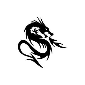 Kızgın Ejderha Araba Sticker 17x17 Cm Siyah