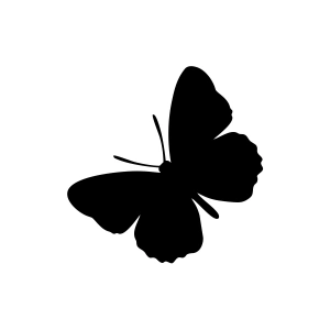 Kelebek Araba Sticker 17x17 Cm Siyah