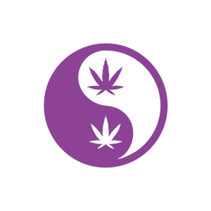 Ying Yang Araba Sticker 17x17 Cm Mor