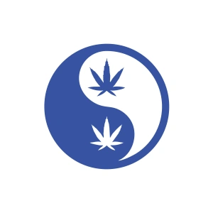 Ying Yang Araba Sticker 17x17 Cm Mavi