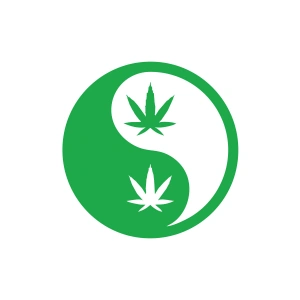 Ying Yang Araba Sticker 17x17 Cm Yeşil